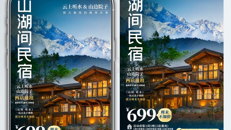 小标题：一、了解民宿行业现状